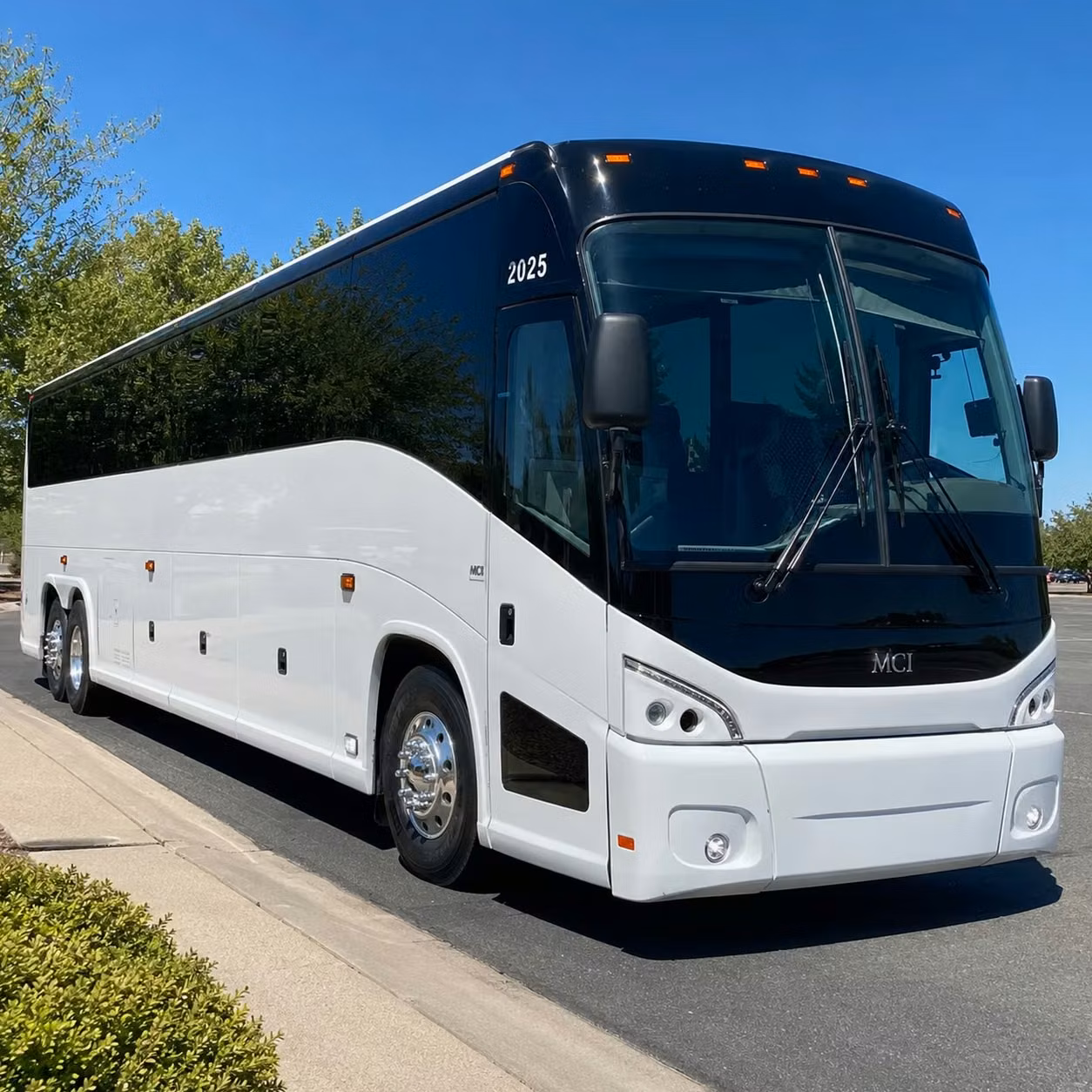 long distance bus routes from new york city to niagara falls washington d c and beyond